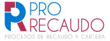 Pro Recaudo Logo